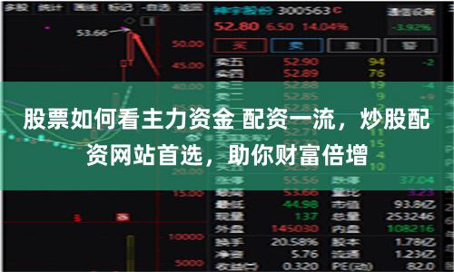 股票如何看主力資金 配資一流，炒股配資網站首選，助你財富倍增